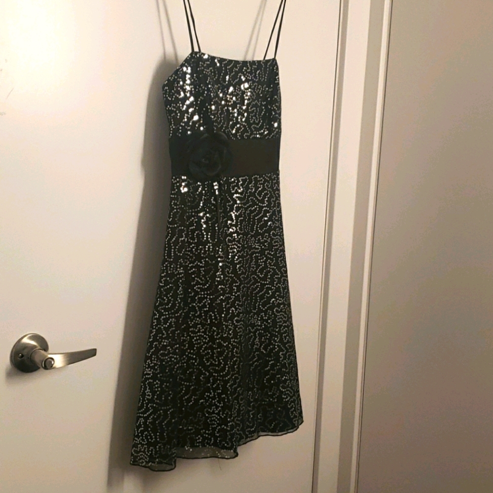 Laura Petites sequin dress
